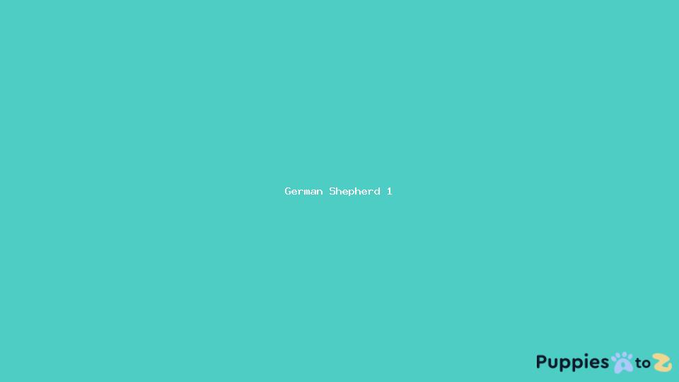 breed image